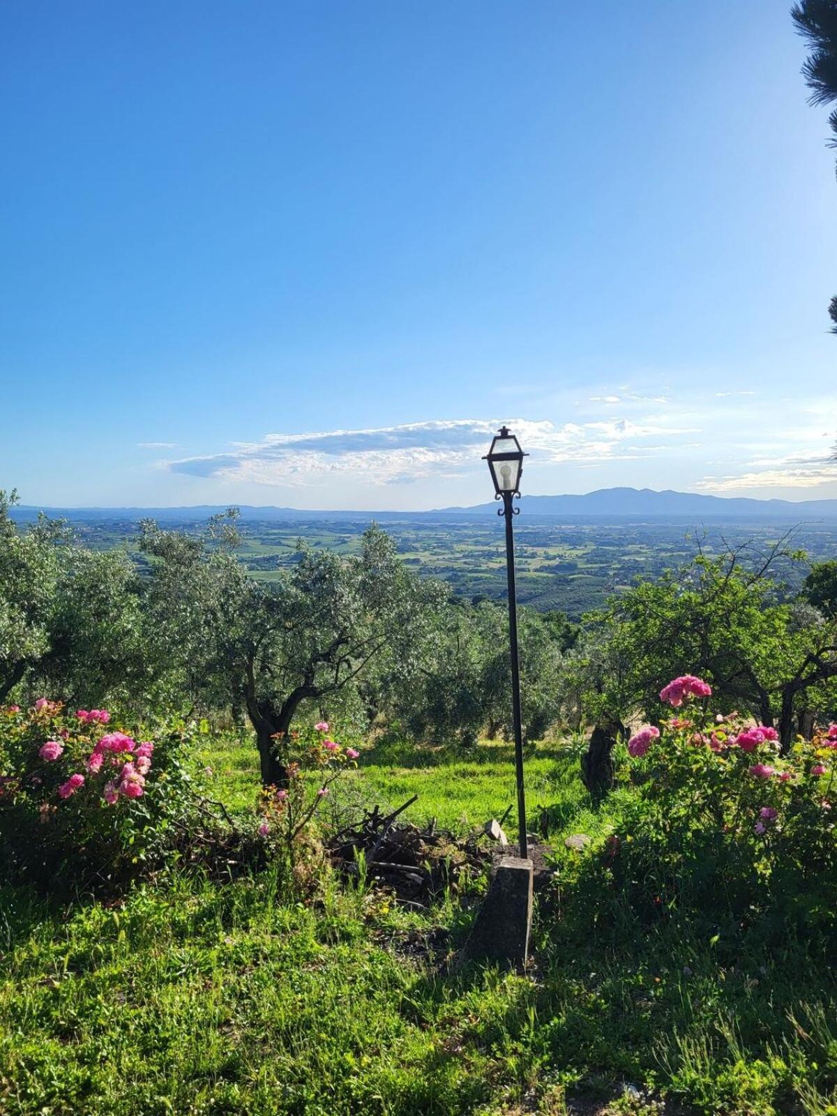 Agriturismo La Gioconda Vinci Exterior photo